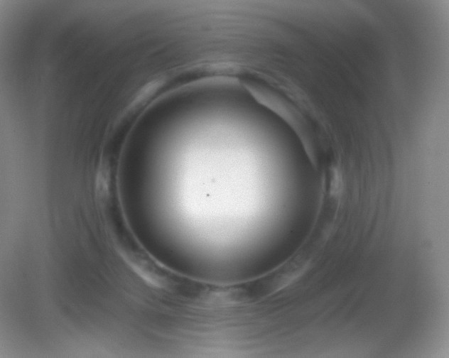 X0000082990072200702011440