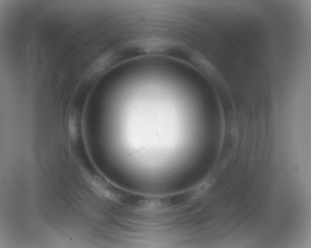 X0000082990074200702011440