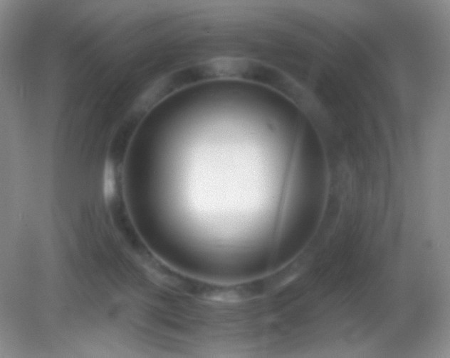 X0000082990075200702011440