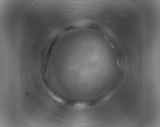 X0000082990076200702011440