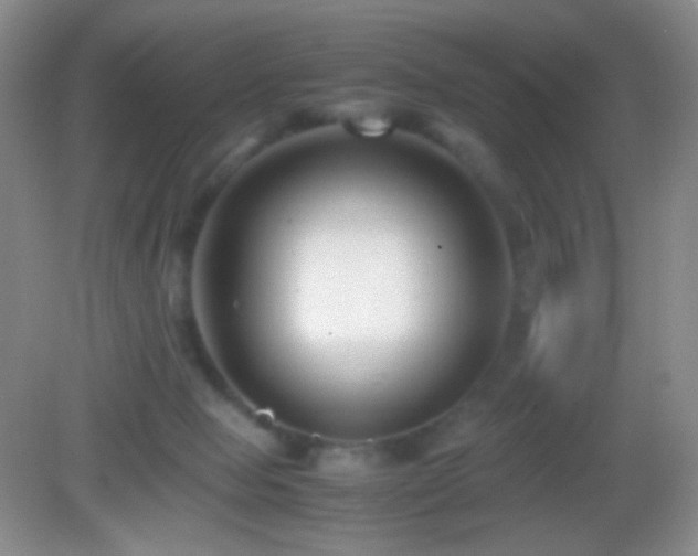 X0000082990077200702011440