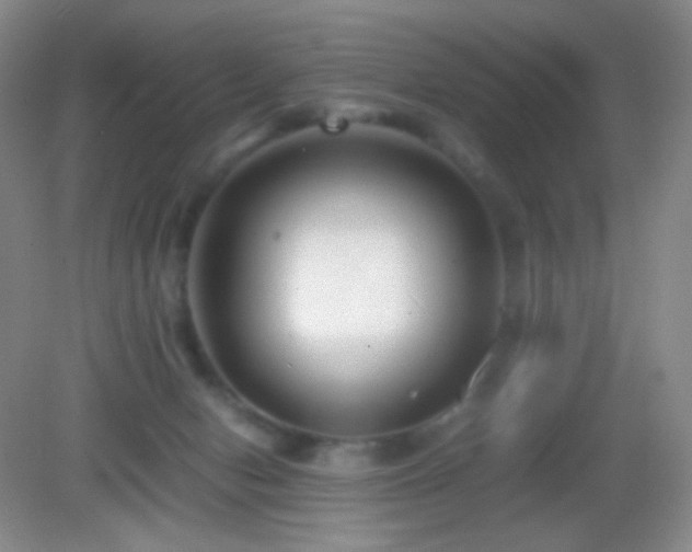 X0000082990078200702011440