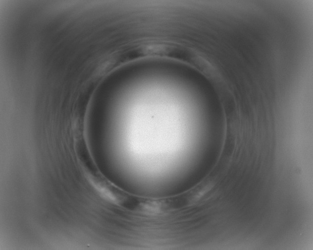 X0000082990079200702011440