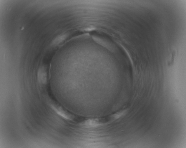 X0000082990080200702011440