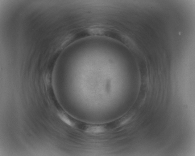 X0000082990081200702011440