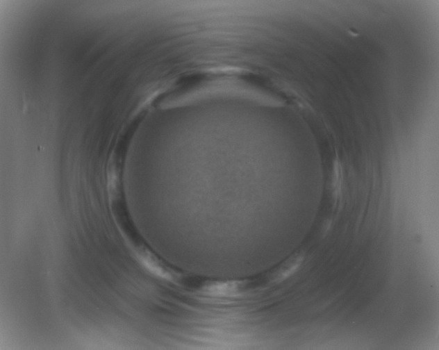 X0000082990084200702011440