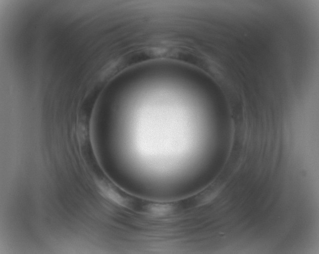 X0000082990085200702011440