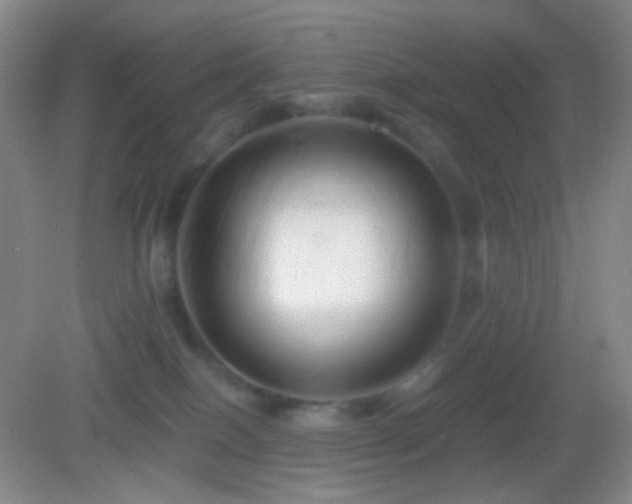 X0000082990086200702011440