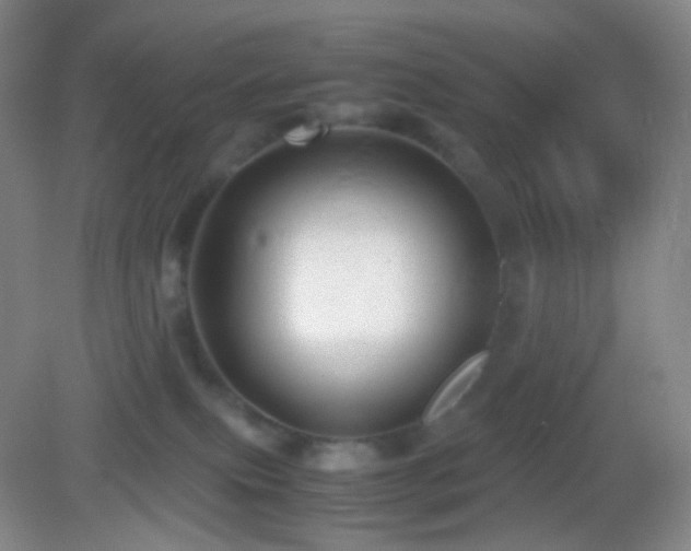 X0000082990087200702011440