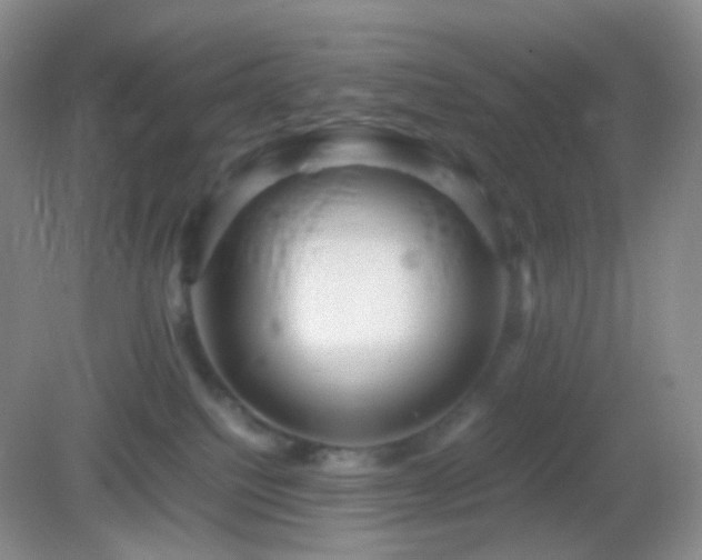 X0000082990088200702011440