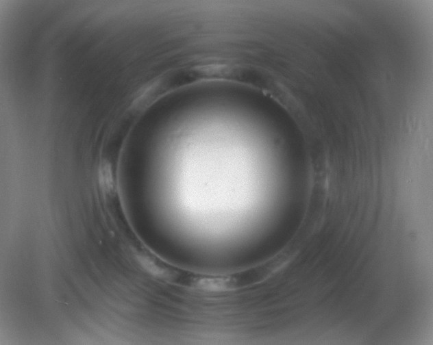 X0000082990089200702011440