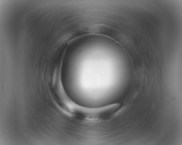 X0000082990092200702011440