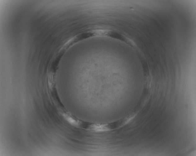 X0000082990093200702011440