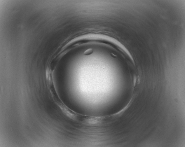 X0000082990094200702011440