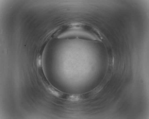 X0000082990095200702011440