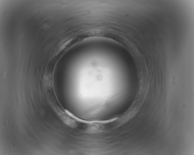 X0000082990096200702011440