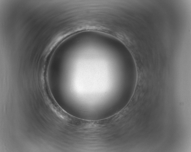 X0000082990098200702011439