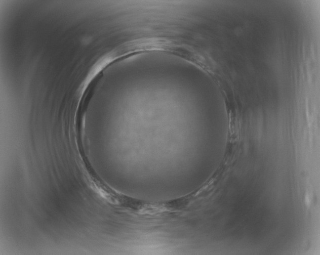 X0000082990099200702011439