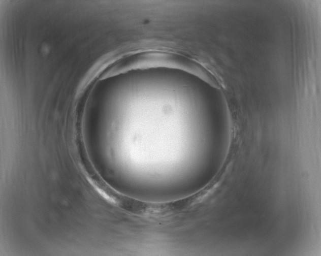 X0000082990101200702011439