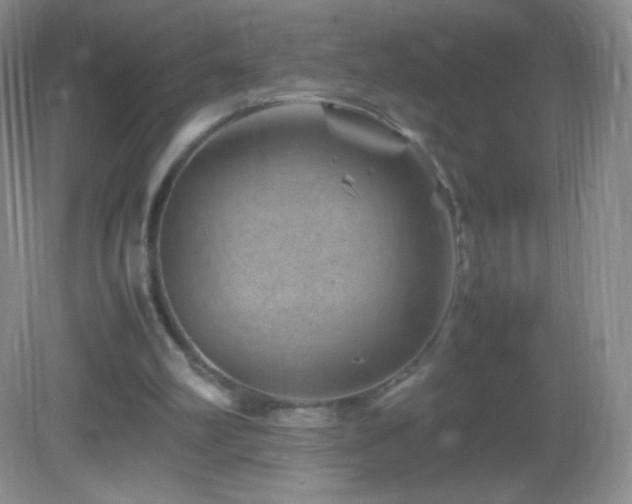 X0000082990102200702011439