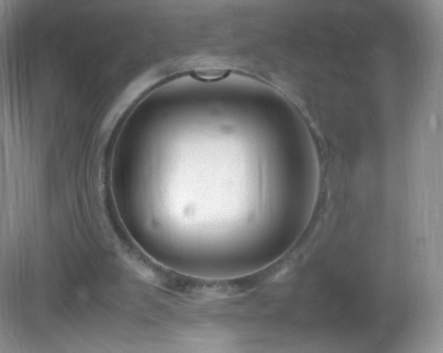 X0000082990103200702011439