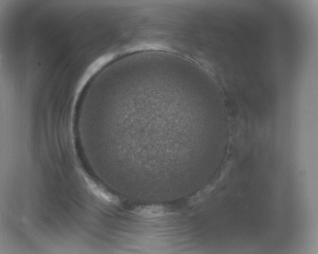 X0000082990104200702011439