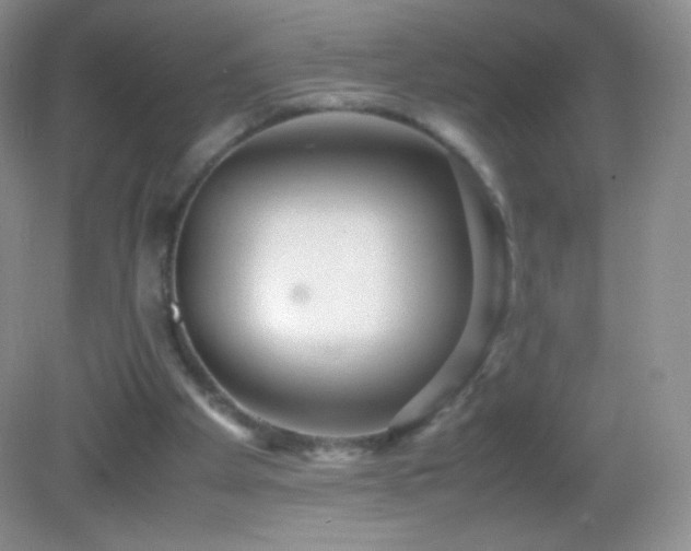 X0000082990105200702011439