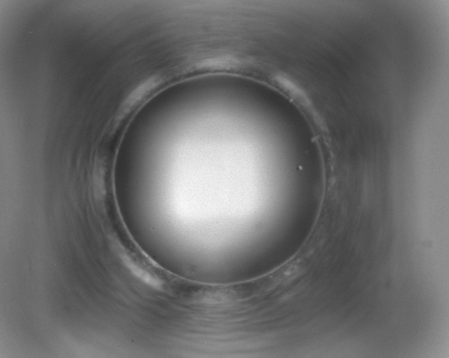 X0000082990106200702011439