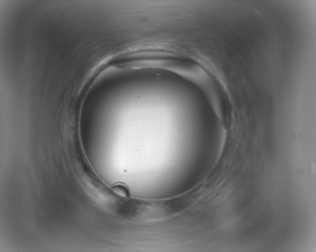 X0000082990107200702011439