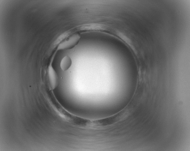 X0000082990109200702011439