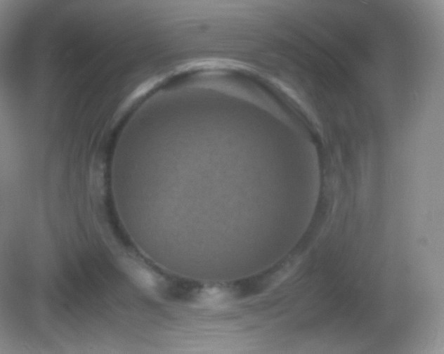 X0000082990111200702011439