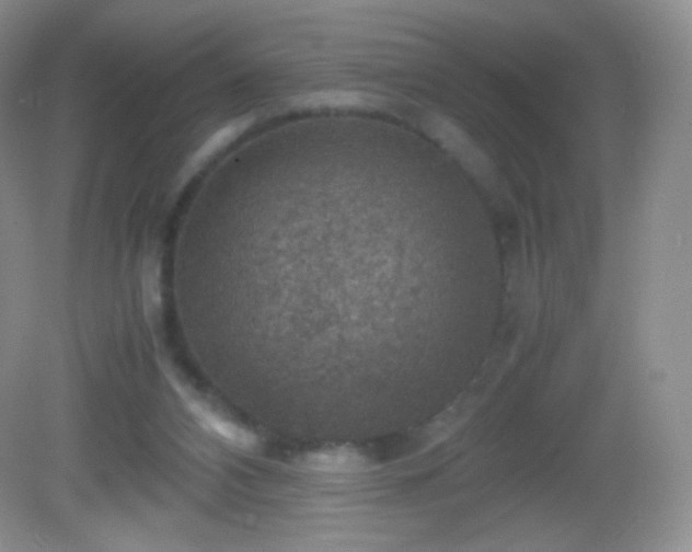 X0000082990112200702011439