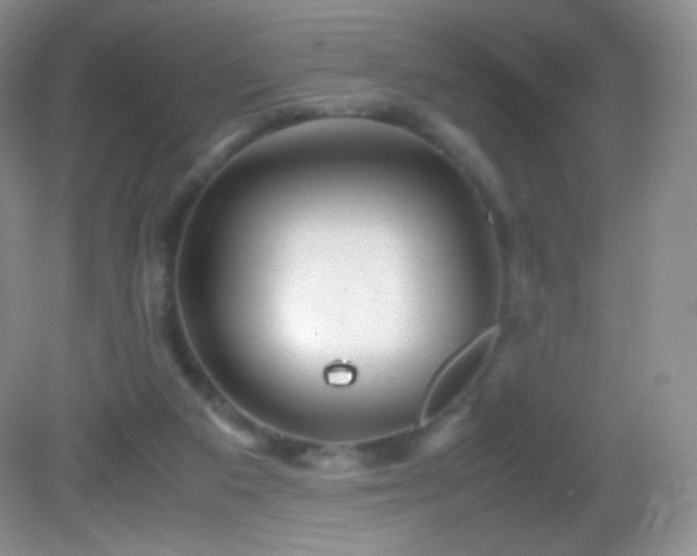 X0000082990113200702011439