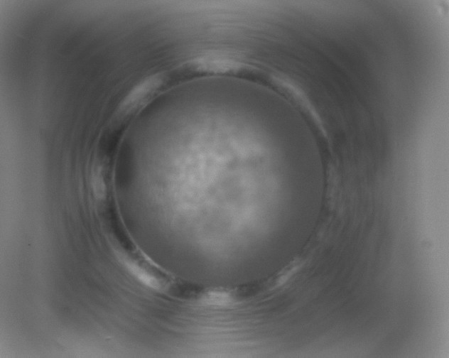 X0000082990114200702011439