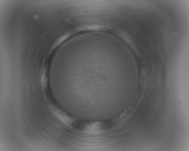 X0000082990116200702011439