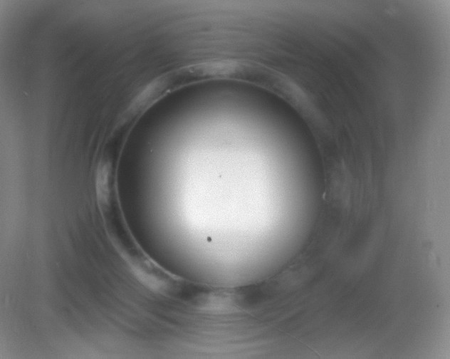 X0000082990118200702011439