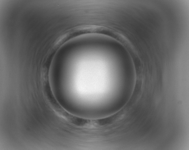 X0000082990119200702011439