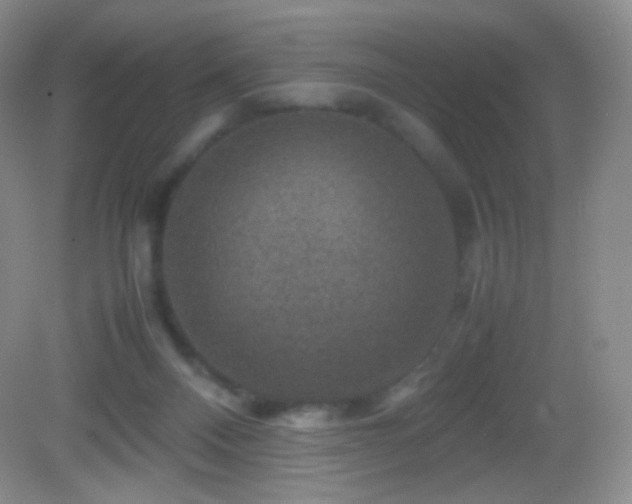 X0000082990120200702011439