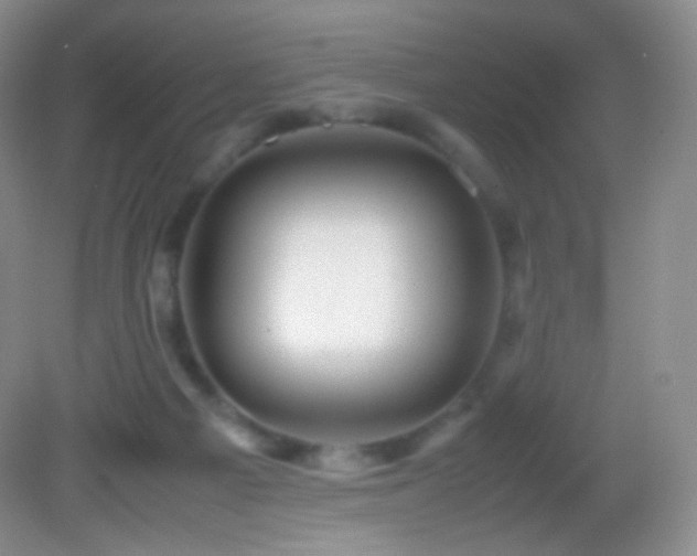 X0000082990121200702011439