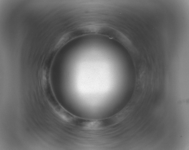 X0000082990122200702011439