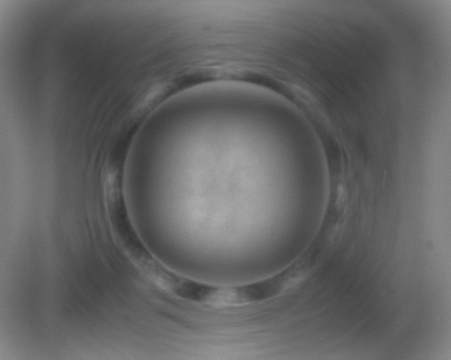 X0000082990123200702011439