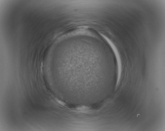 X0000082990125200702011439