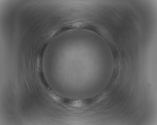 X0000082990127200702011439