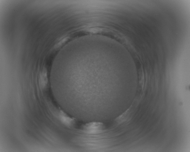 X0000082990128200702011439