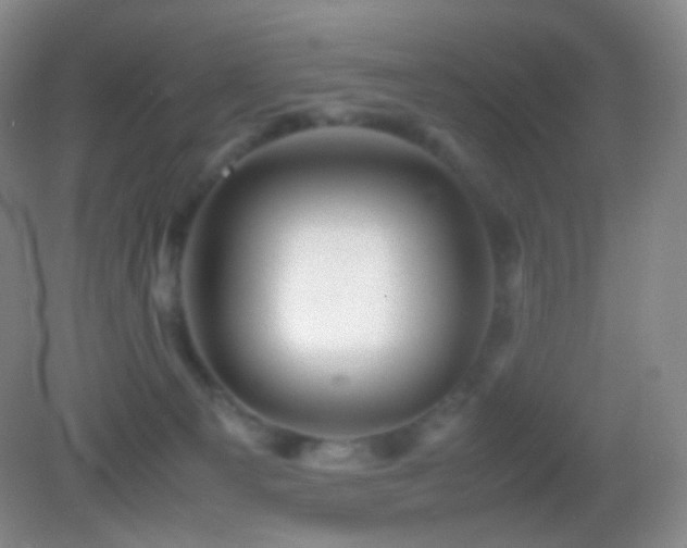 X0000082990129200702011439