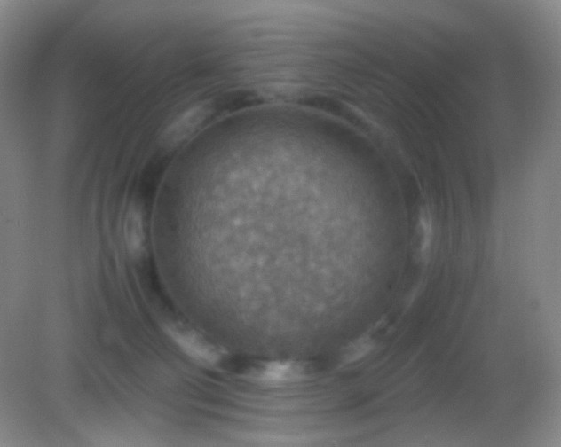 X0000082990130200702011439