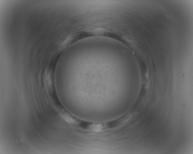 X0000082990131200702011439