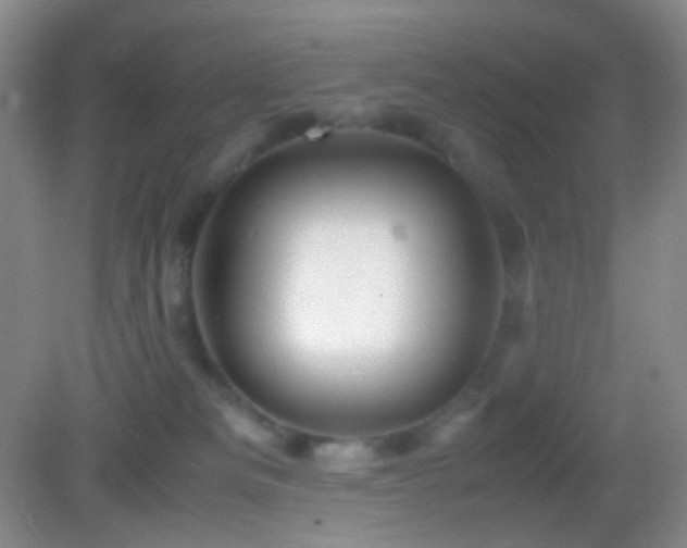 X0000082990133200702011439