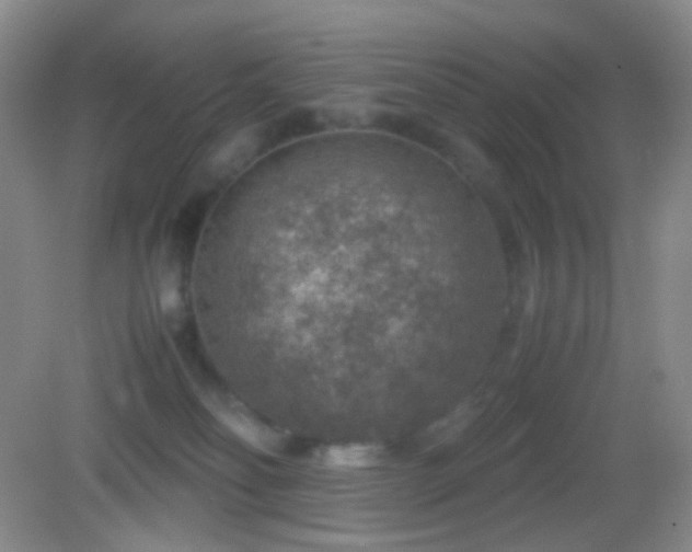 X0000082990134200702011439