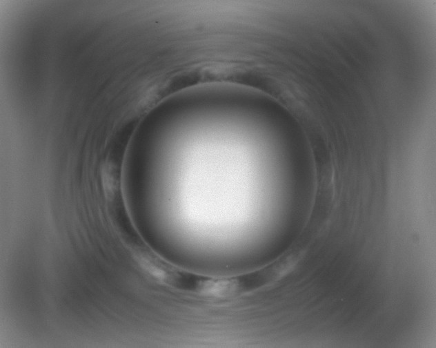 X0000082990135200702011439